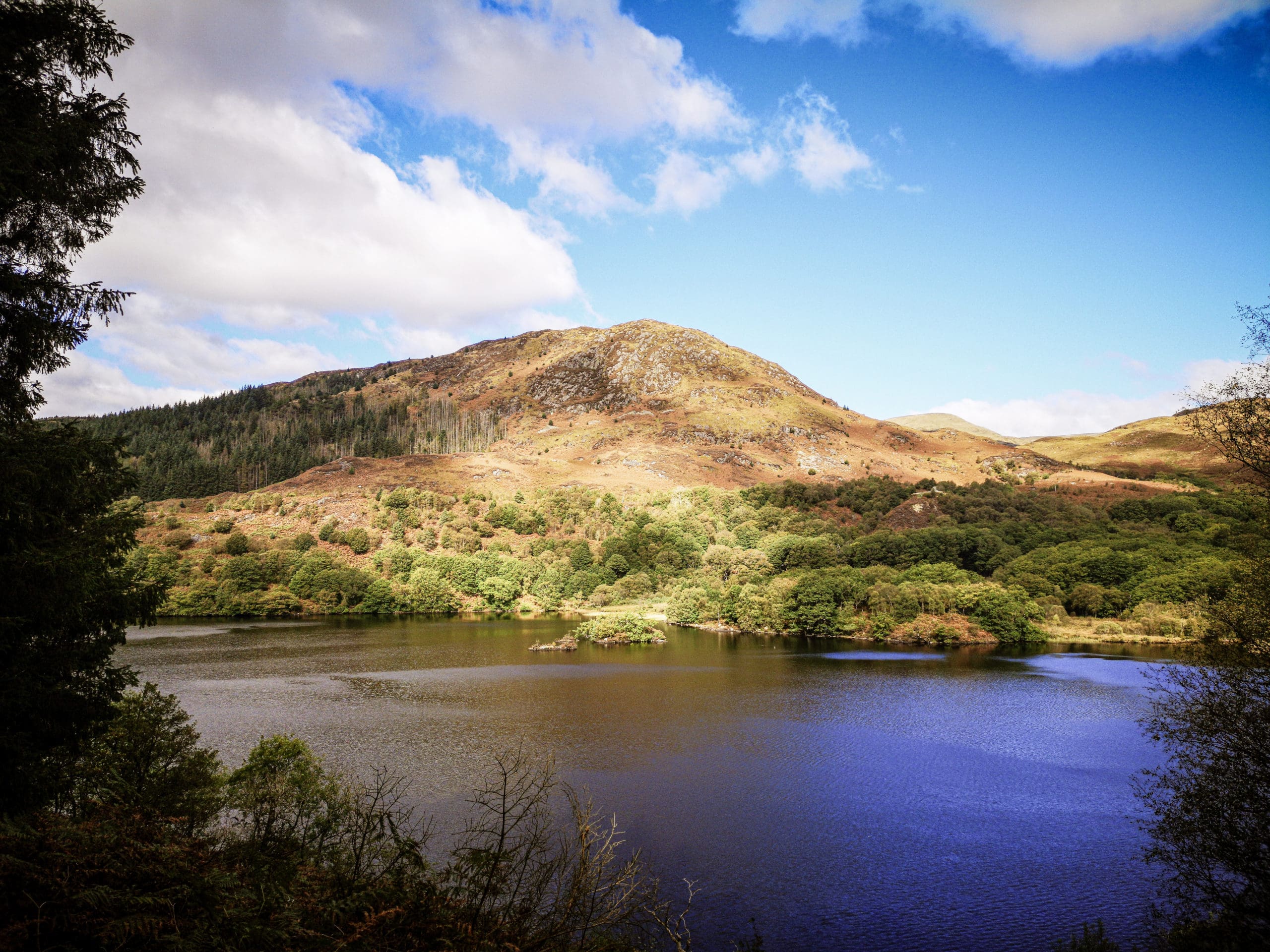 Two Tickets To Galloway Forest Park: Staying in a Shepherd's Hut